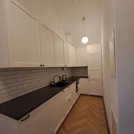 Vyduno 9 アパート カウナス