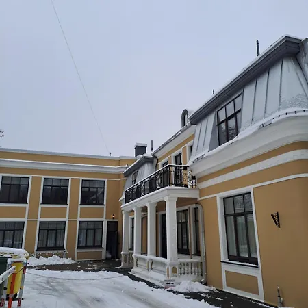 Vyduno 9 カウナス