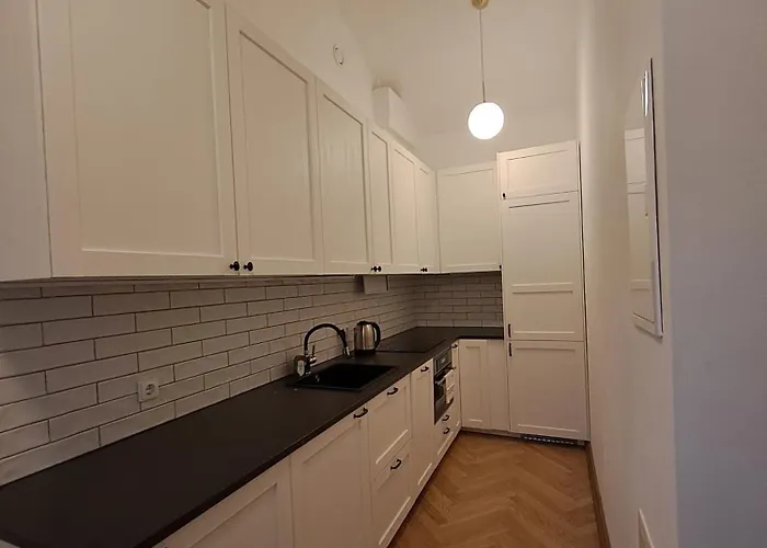 Vyduno 9 アパート カウナス